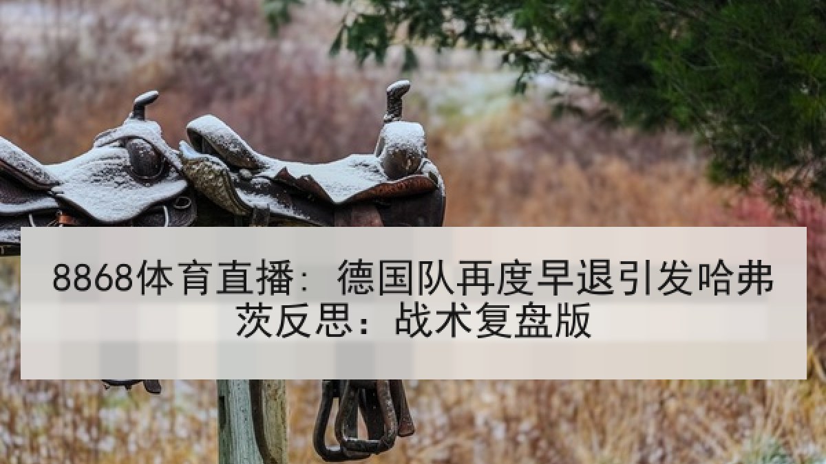 8868体育直播: 德国队再度早退引发哈弗茨反思:战术复盘版 8868体育直播: 德国队再度早退引发哈弗茨反思:战术复盘版