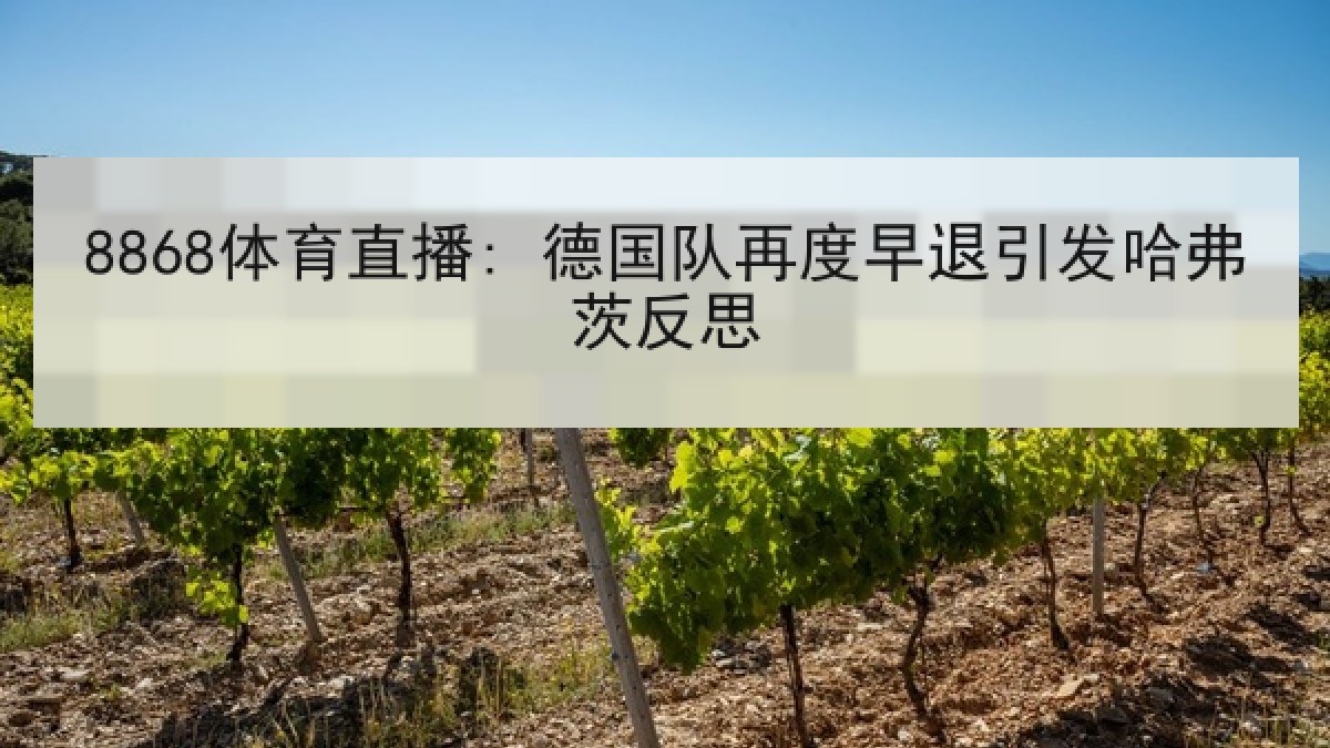 8868体育直播: 德国队再度早退引发哈弗茨反思 8868体育直播: 德国队再度早退引发哈弗茨反思