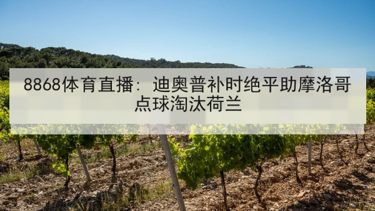 8868体育直播: 迪奥普补时绝平助摩洛哥点球淘汰荷兰 8868体育直播: 迪奥普补时绝平助摩洛哥点球淘汰荷兰