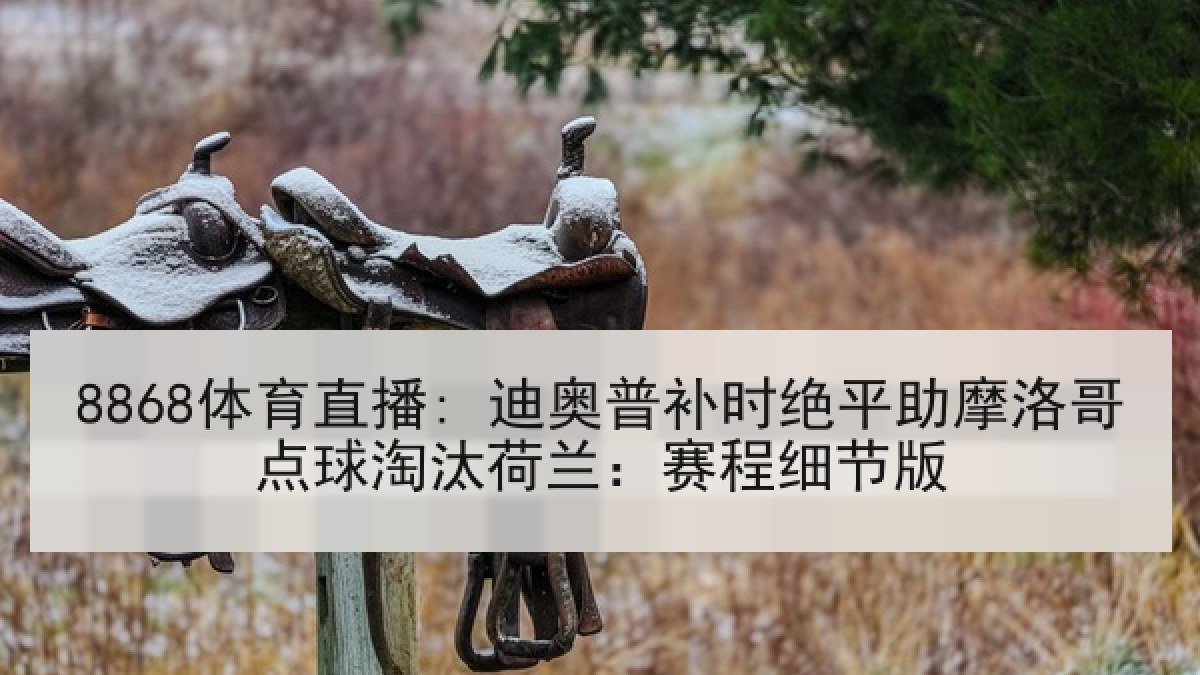 8868体育直播: 迪奥普补时绝平助摩洛哥点球淘汰荷兰:赛程细节版 8868体育直播: 迪奥普补时绝平助摩洛哥点球淘汰荷兰:赛程细节版