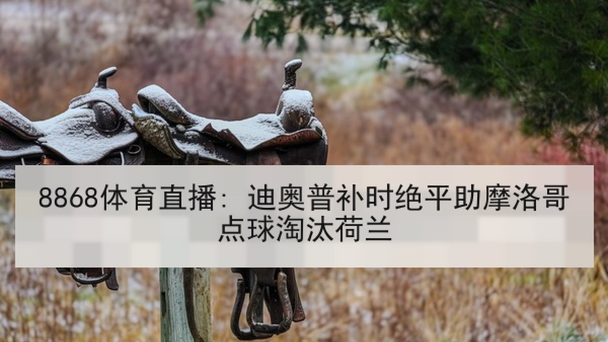 8868体育直播: 迪奥普补时绝平助摩洛哥点球淘汰荷兰 8868体育直播: 迪奥普补时绝平助摩洛哥点球淘汰荷兰