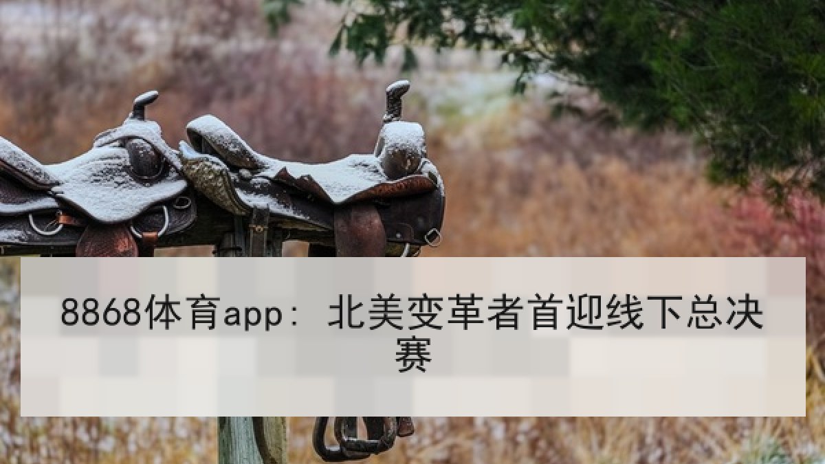 8868体育app: 北美变革者首迎线下总决赛