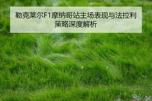 lei-ke-lai-er-mo-na-ge-zhan-zhu-chang-biao-xian-yu-fa-la-li-ce-lve-shen-du-jie-xi-2-615.jpg